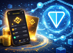 TON Blockchain Now Supported in Binance Wallet