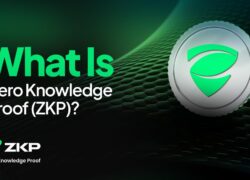 Avec 100 millions de dollars déjà déployés, Zero Knowledge Proof (ZKP) redéfinit ce à quoi ressemble une véritable prévente crypto