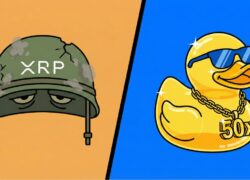 XRP Army vs Patos Flock: Which Investor’s Predicted To Get 5X ROI First