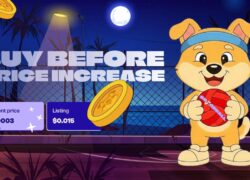 Top Crypto Presale 2026: DOGEBALL Stage 1 at $0.0003 With a Structured $0.015 Launch Model
