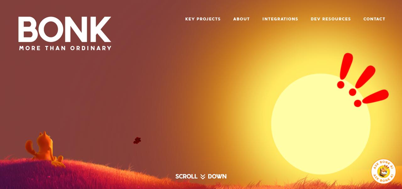 Bonk dog representing Solana community token distributed through massive airdrops