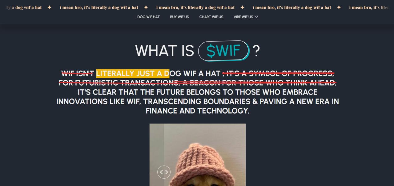 Dog wearing pink knitted hat - minimalist viral Solana meme phenomenon 2026