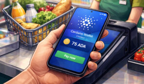 Cardano (ADA) payment in supermarket