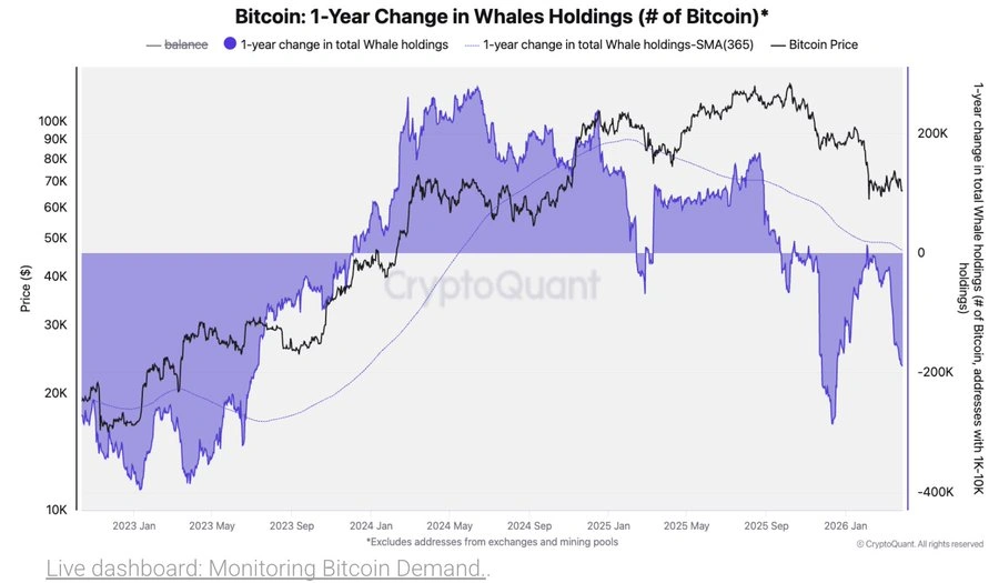 CryptoQuant chart Whale Holdings