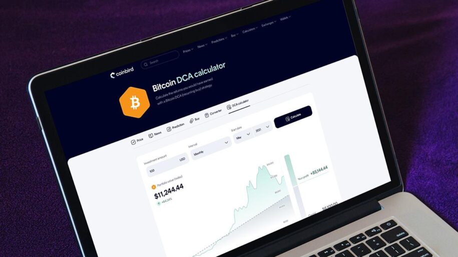 $100/Month in Bitcoin Since 2015 Would Have Turned $13,700 Into $632,000, Coinbird Analysis Shows
