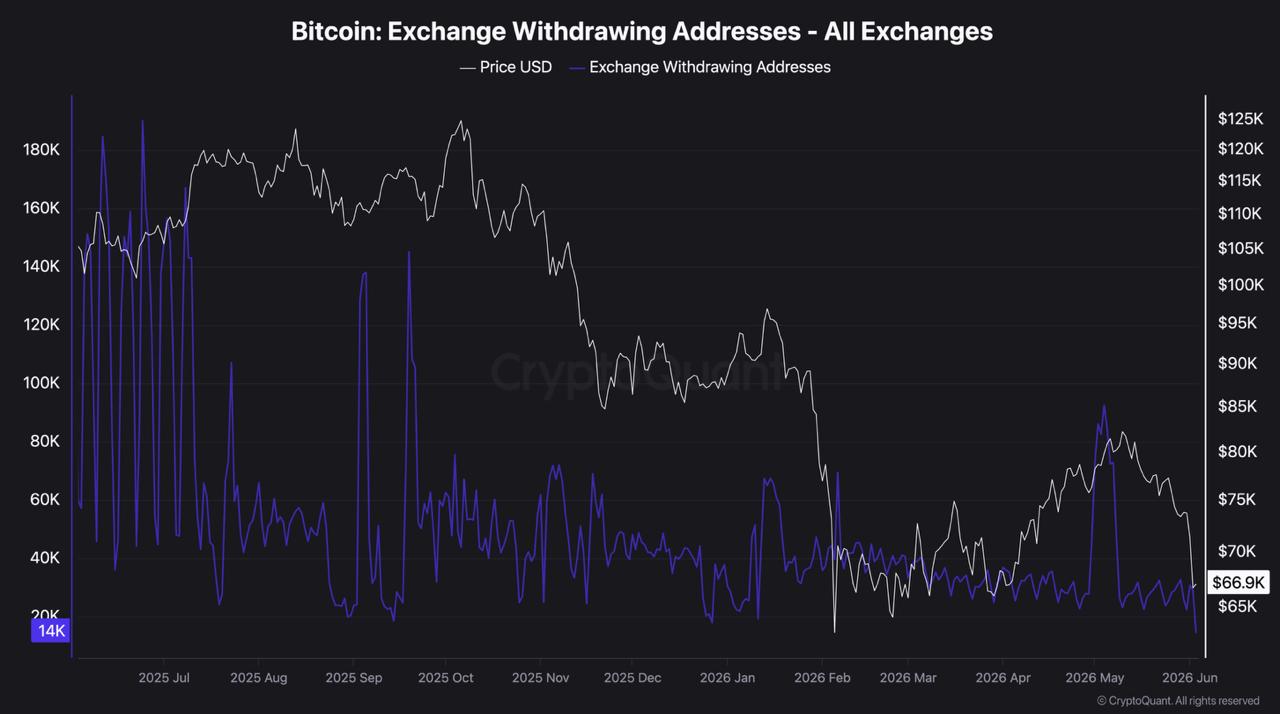 BTC onchain data chart