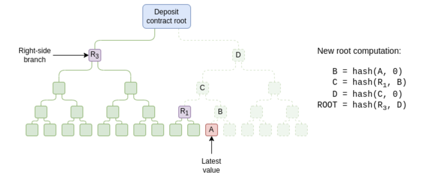 A diagram detailing "Phase 1A: eliding the pubkey tree," illustrating how validator pubkeys are stored in a fixed location in a deposit tree, with the deposit contract only needing to store the right-side branch to append new values.