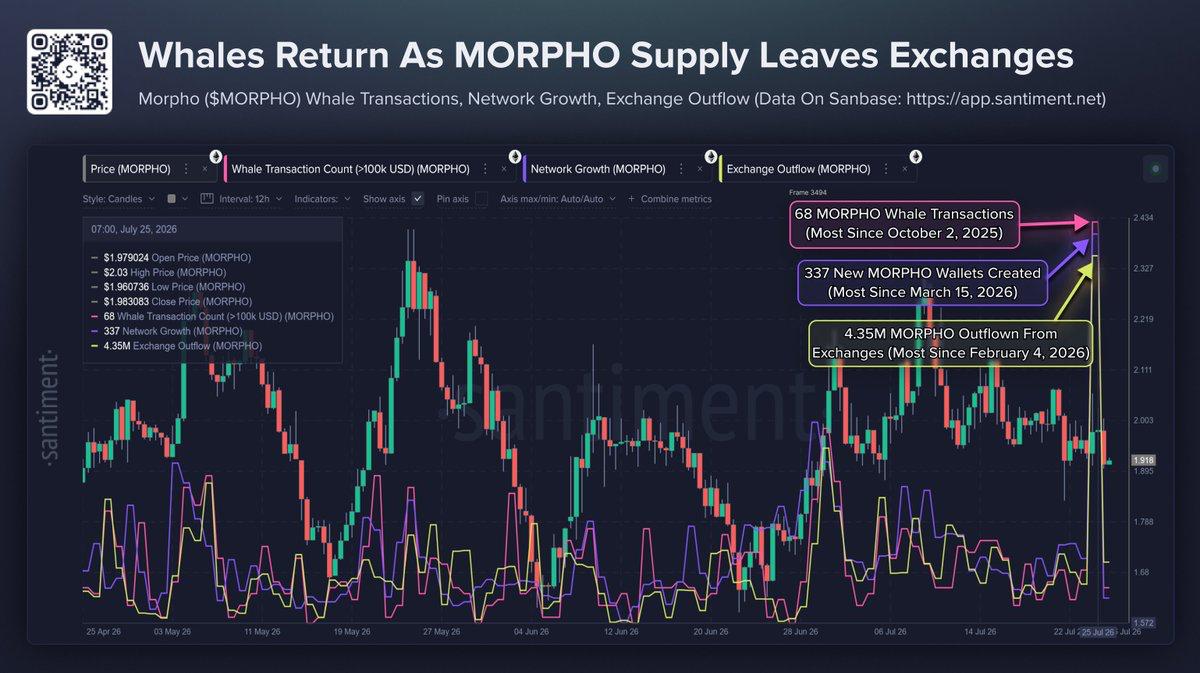 A Santiment on-chain analytics chart titled "Whales Return As MORPHO Supply Leaves Exchanges," tracking MORPHO's price action against whale transactions, network growth, and exchange outflows.