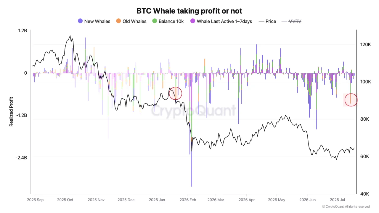 A CryptoQuant chart highlighting realized profit data for