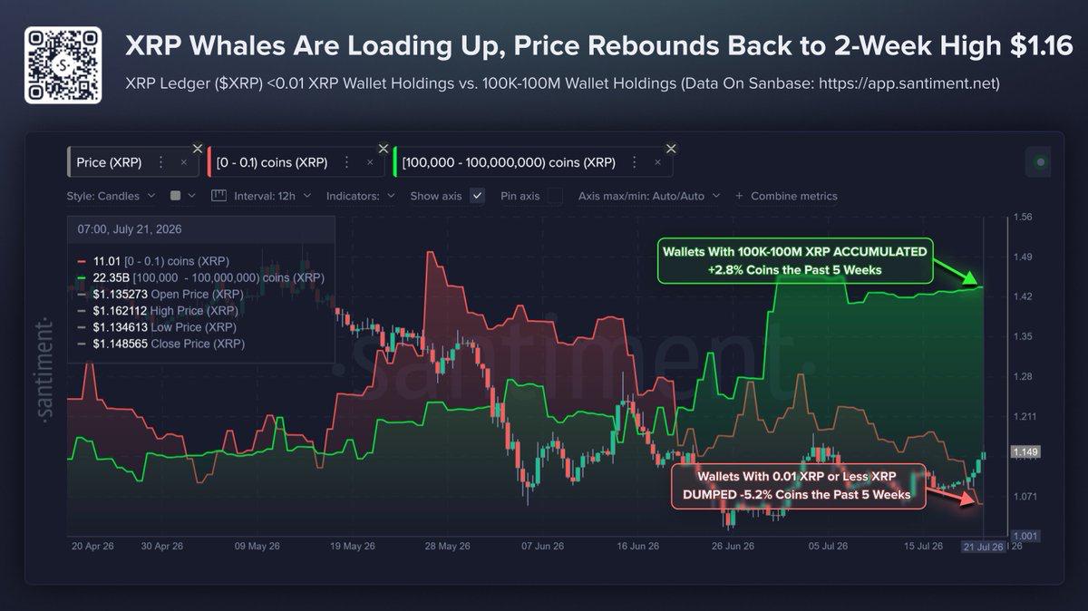 A Santiment on-chain chart tracking XRP wallet holdings from April to July 2026, showing that wallets holding between 100K and 100M coins accumulated +2.8% while smaller wallets dumped -5.2%.