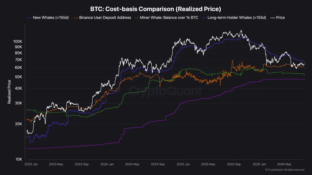 CryptoQuant chart comparing Bitcoin cost-basis and realized prices for new whales, Binance deposit addresses, miner whales, and long-term holder whales.