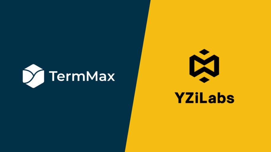 YZi Labs Backs TermMax to Advance On-Chain Bond Market Infrastructure
