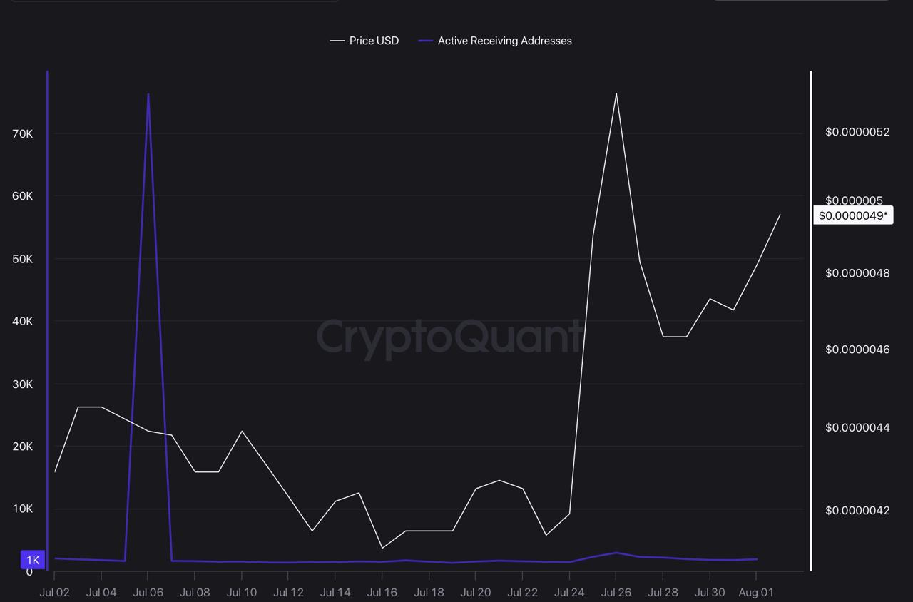 CryptoQuant chart illustrating Shiba Inu price USD against active receiving addresses.