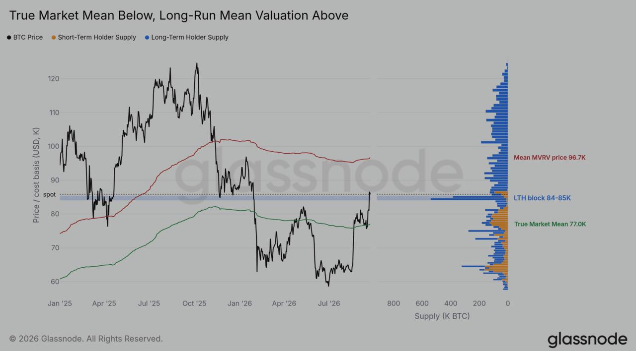 Glassnode on-chain valuation chart comparing Bitcoin price action against short-term and long-term holder supply distributions and cost basis metrics.