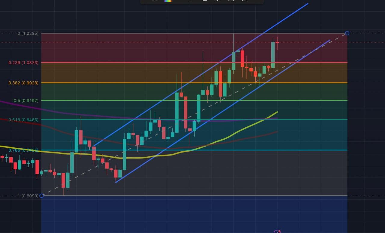 TradingView daily chart of Filecoin (FIL/USDT) on Binance showing a rising channel, Fibonacci retracement levels from $0.6099 to $1.2295, and 50-, 100- and 200-day moving averages.